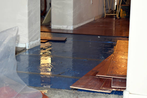 Professional Burst Pipe Cleanup technician working in Crab Orchard, TN