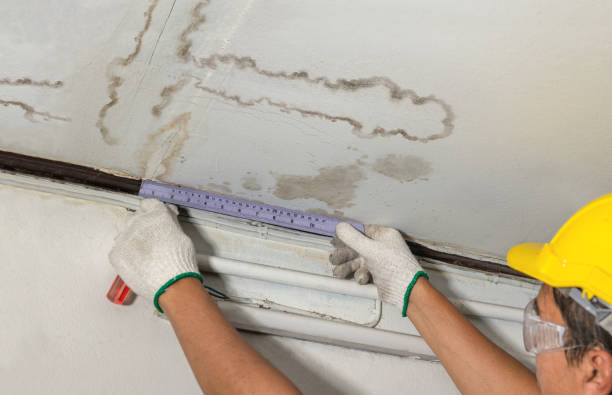 Reliable Burst Pipe Cleanup contractor in Crab Orchard, TN by Water Damage Irwin